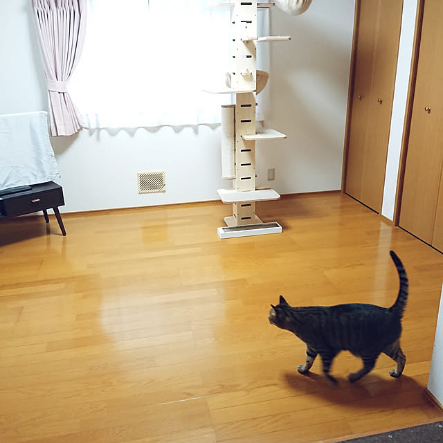 nachiさんの実例写真