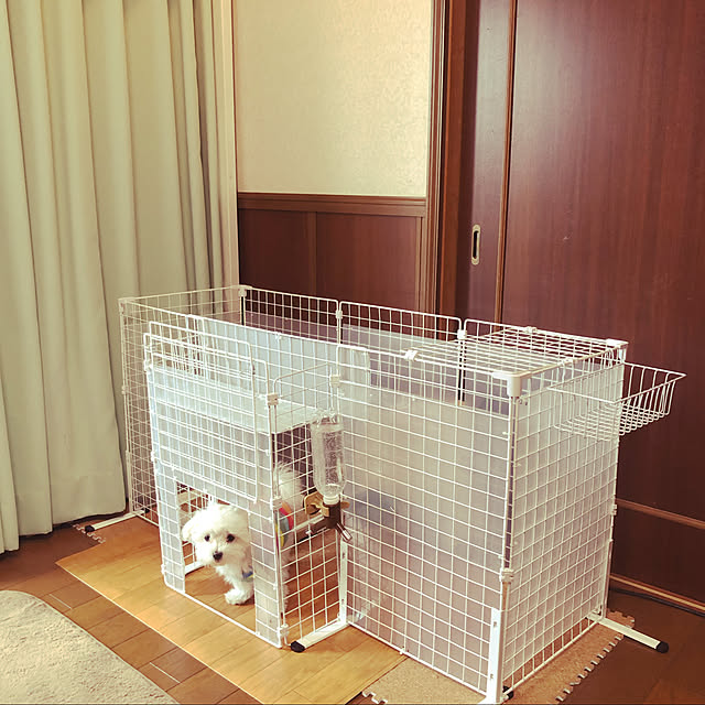 osarunoeijiさんの実例写真