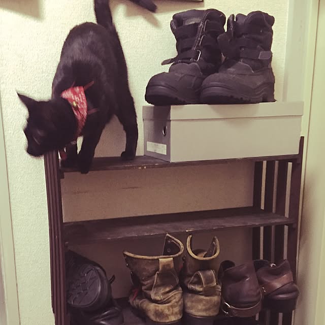 Narumiさんの実例写真