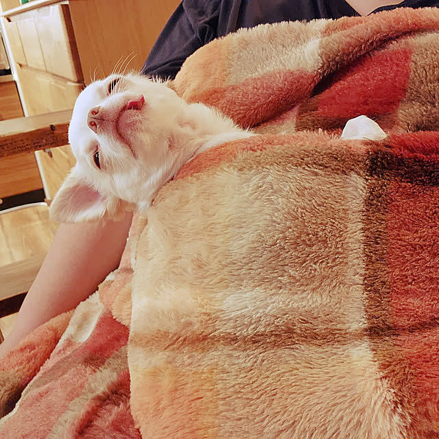 maaaaroさんの実例写真