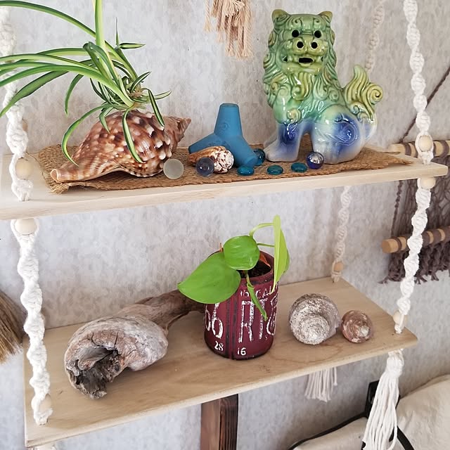 midoriさんの部屋