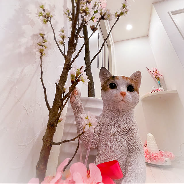 farekananiさんの実例写真