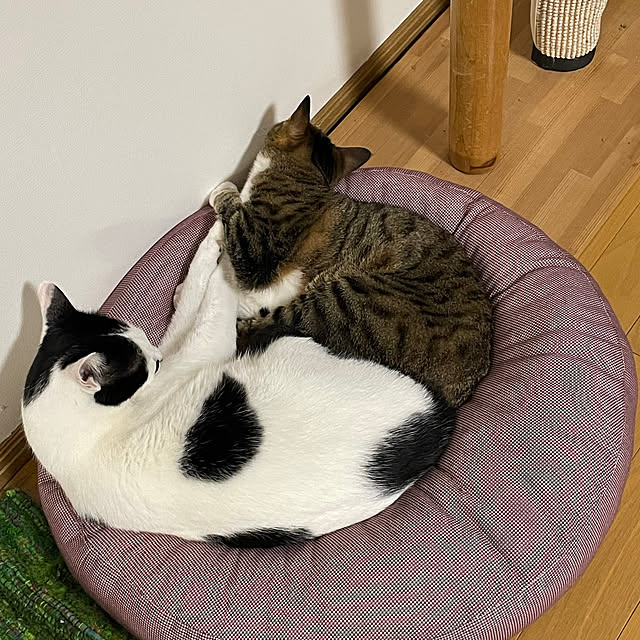 nobikoさんの部屋