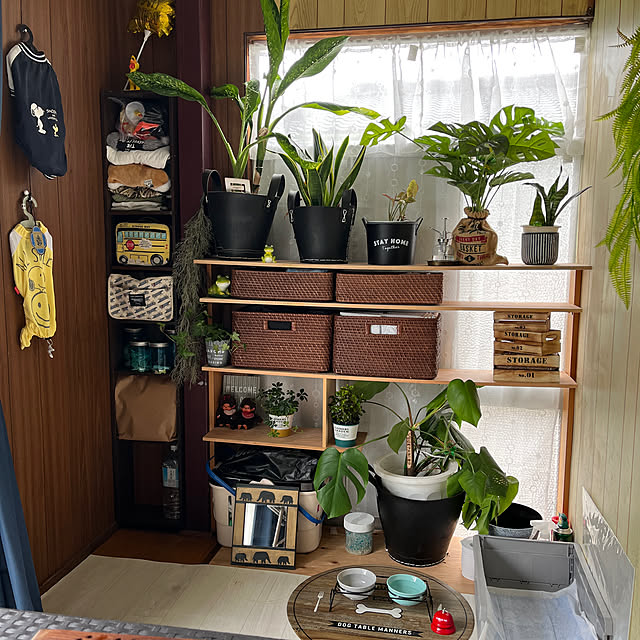 フェイクグリーン/観葉植物/犬用品/100均/古い賃貸...などのインテリア実例 - 2023-06-14 10:35:14