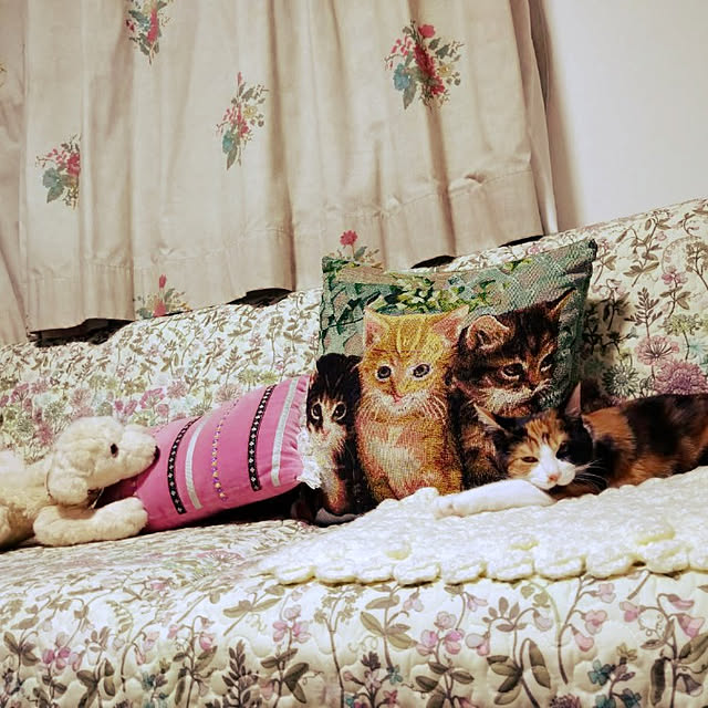oyoneさんの実例写真