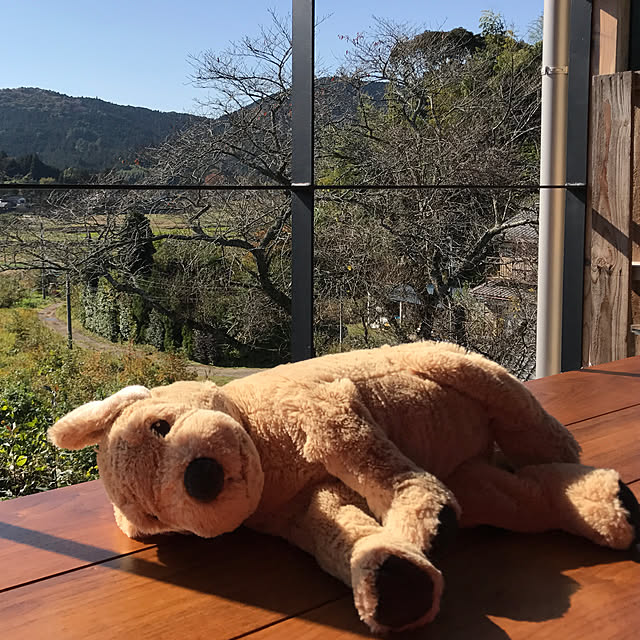 sakurasakuさんの実例写真