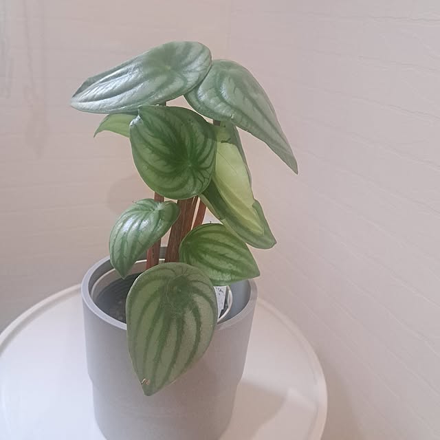 toro_roomさんの実例写真