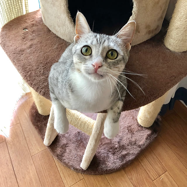 Honamiさんの実例写真