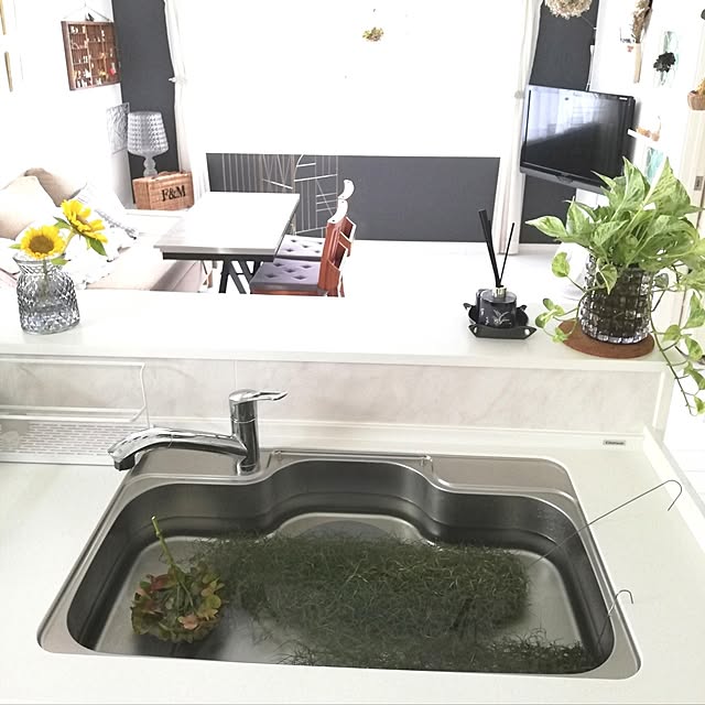 fumitanさんの実例写真