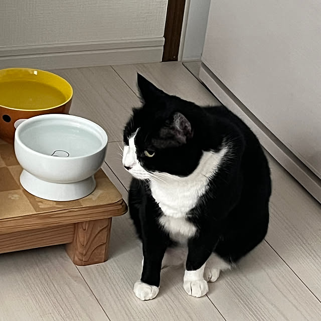 chatnoirさんの部屋