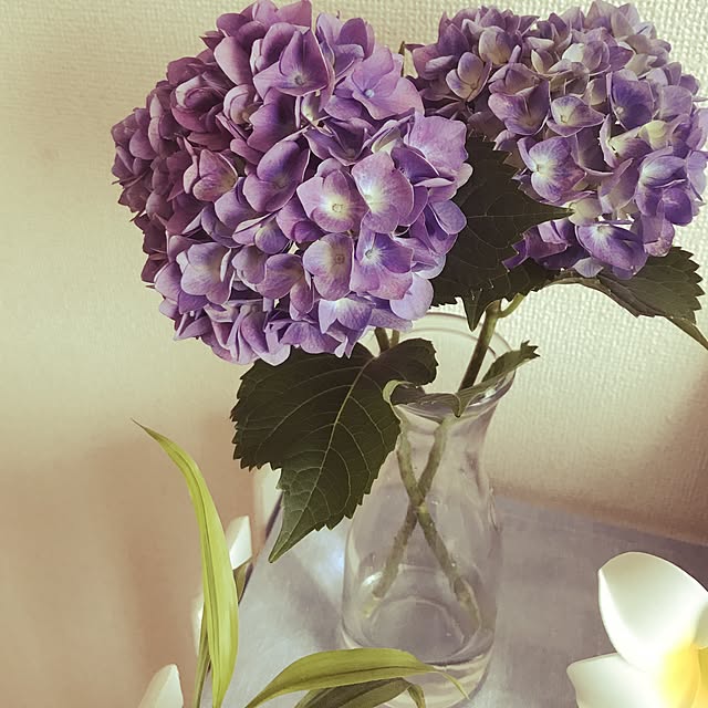 Pink53139さんの実例写真