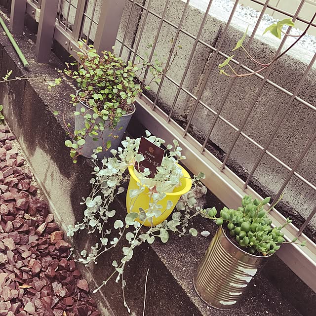 fufufuさんの実例写真