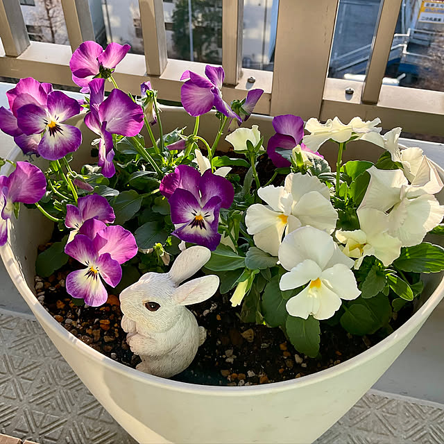 2.11maririnさんの部屋