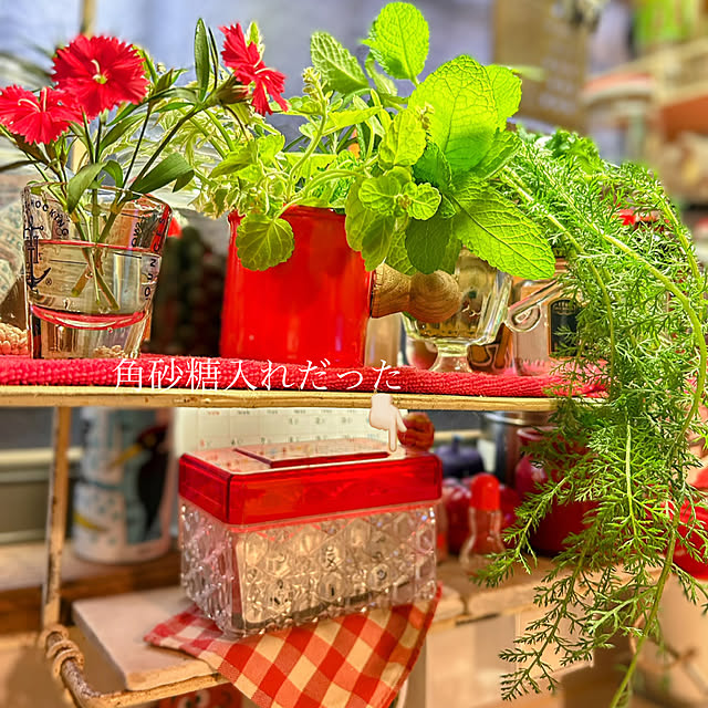 akaidarumaさんの実例写真