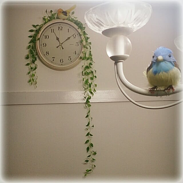 Lukiさんの実例写真