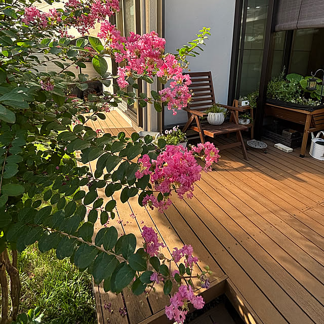 maimai0110さんの部屋