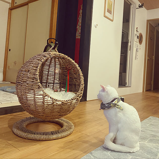 hanaさんの実例写真