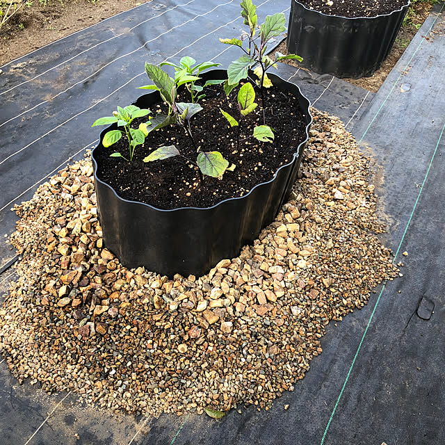 ichizo_builderさんの部屋