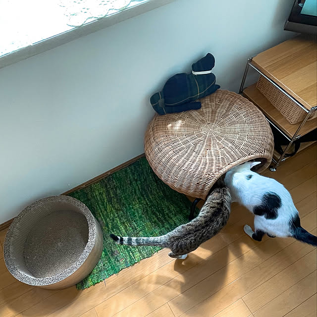 nobikoさんの実例写真