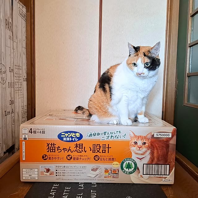 nanaさんの実例写真