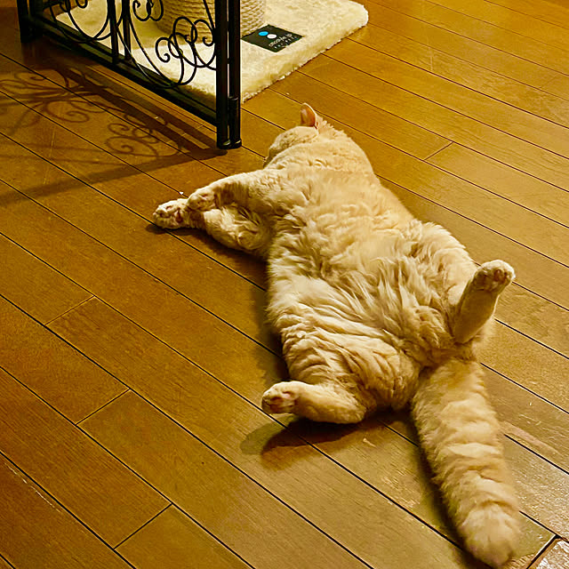 naokoさんの実例写真