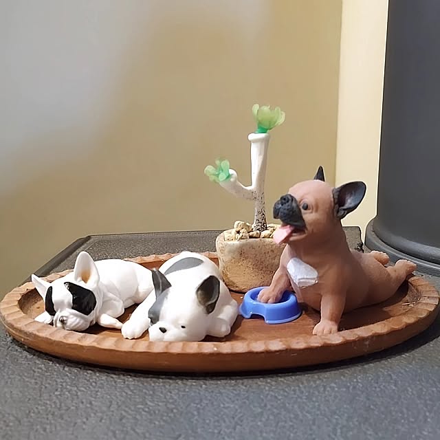 t.yumiさんの実例写真