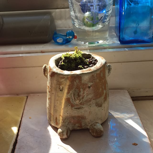 chaiさんの実例写真