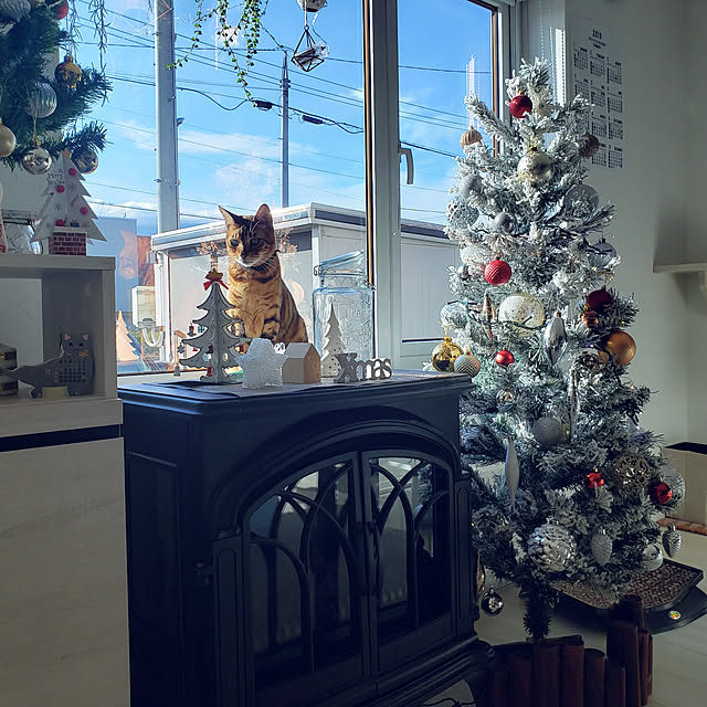 megu.catさんの実例写真