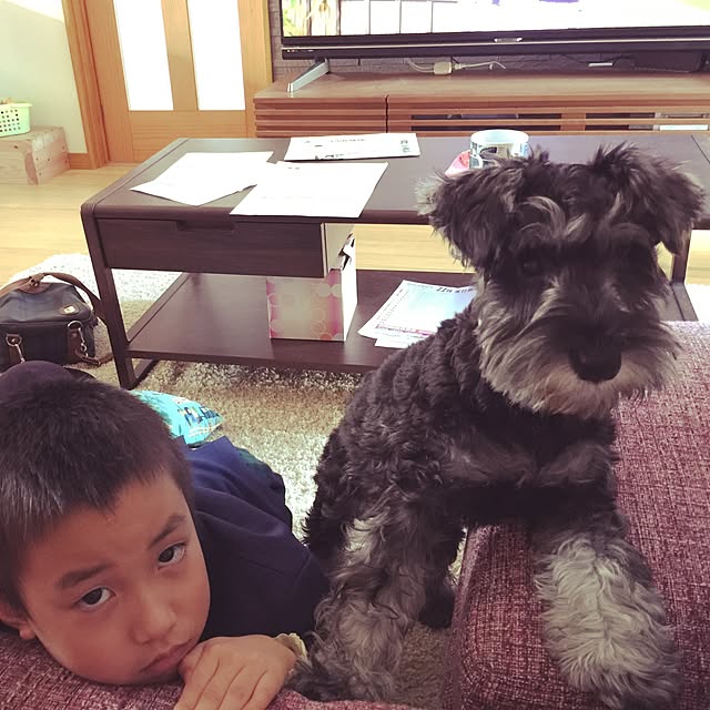 Arutanさんの実例写真