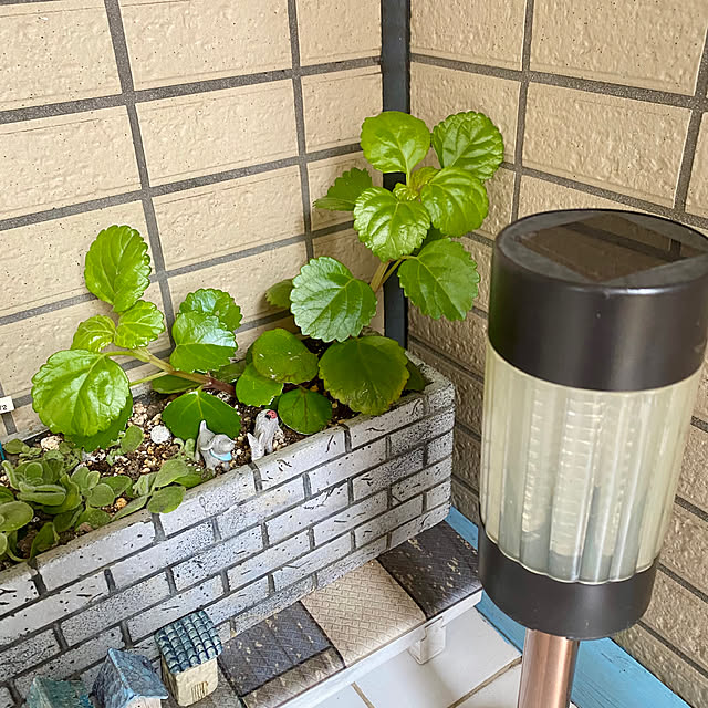 YuuKoさんの部屋