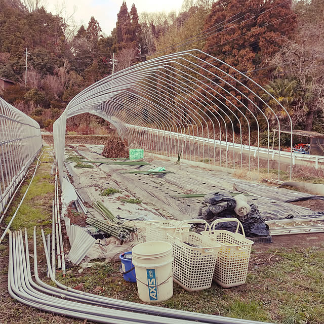 oraoraさんの実例写真