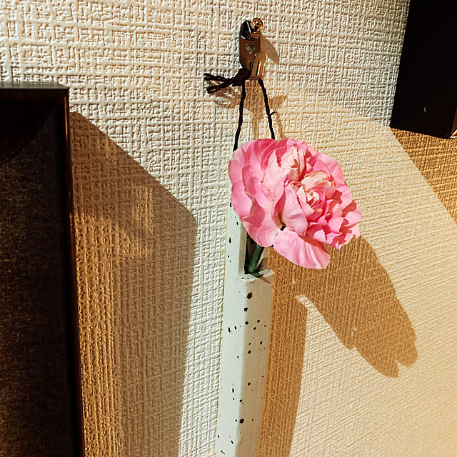 babanksyさんの実例写真