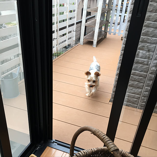 mayuoさんの実例写真
