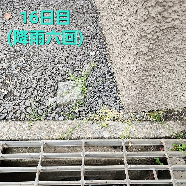 75さんの部屋