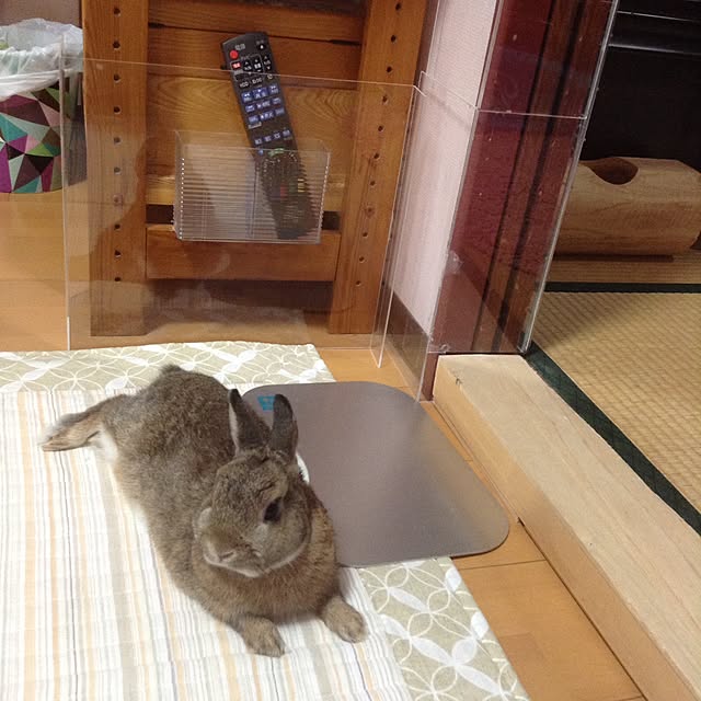 yuzu0223さんの部屋