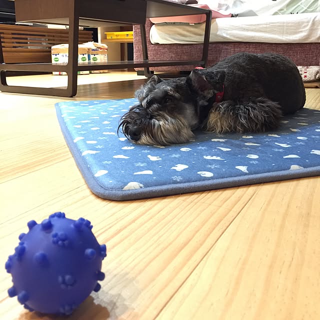 Arutanさんの実例写真