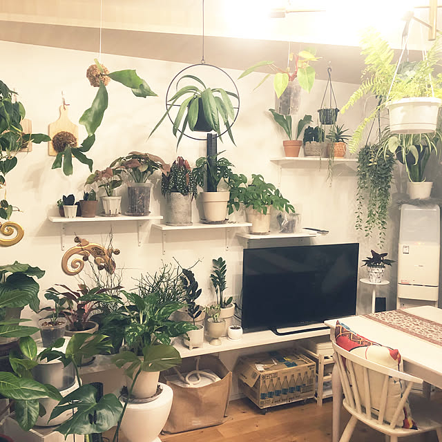 sashiさんの部屋