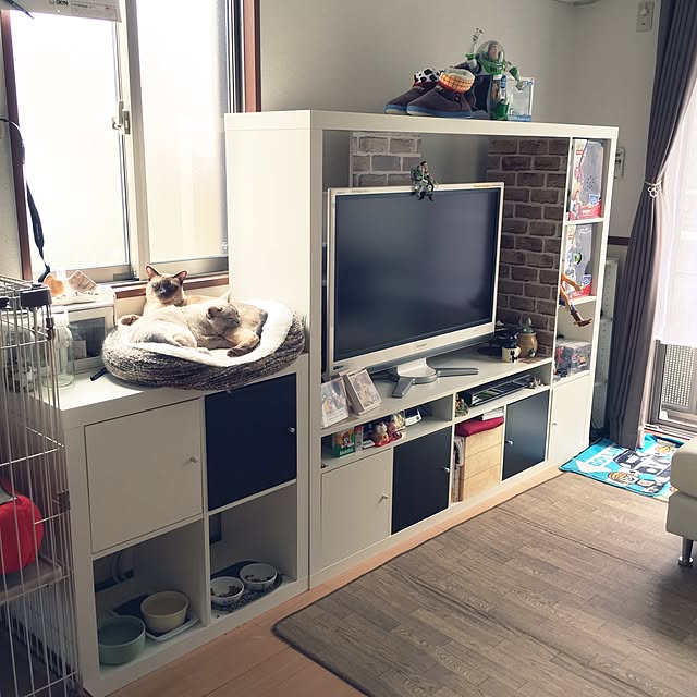 monkeymajimajikさんの実例写真