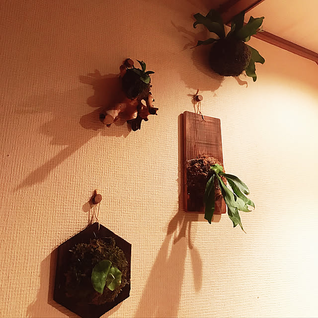 ManabenoLMさんの実例写真