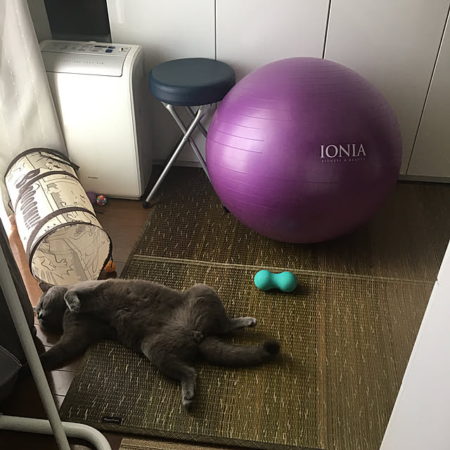 kittyさんの実例写真
