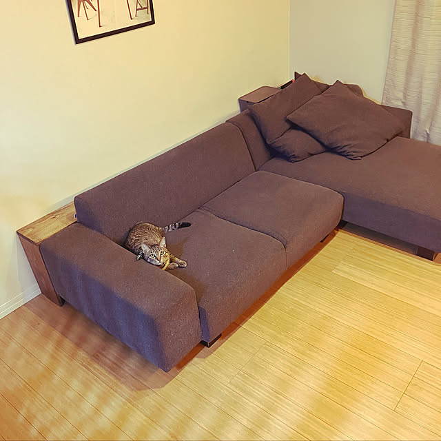 machaさんの実例写真