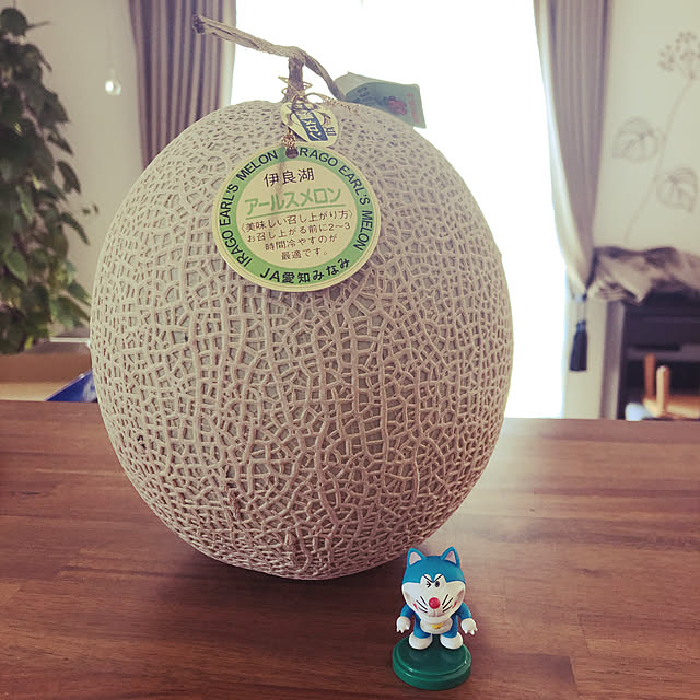 shibakoさんの実例写真