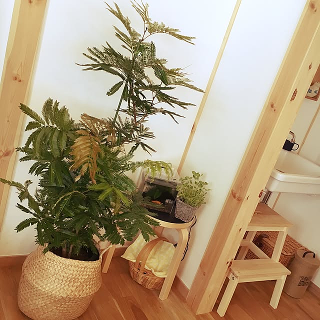 nonkoroさんの実例写真