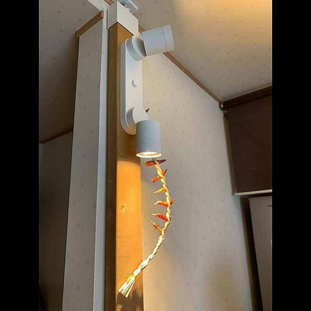 dandpyさんの実例写真