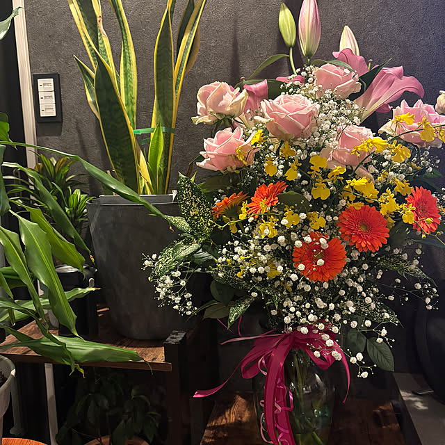 kana.taさんの部屋