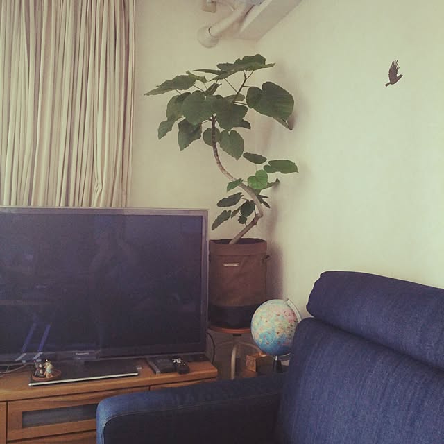 fumigonさんの実例写真