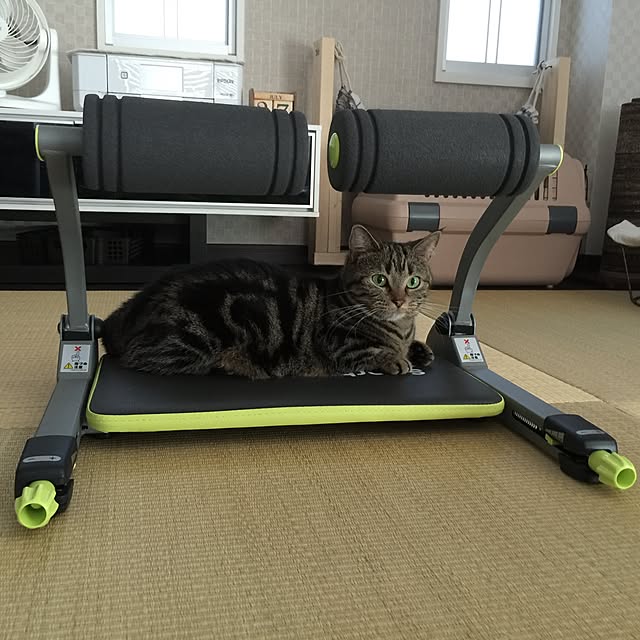 neuruさんの実例写真