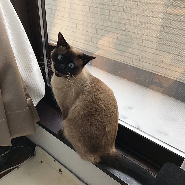 shi622さんの実例写真