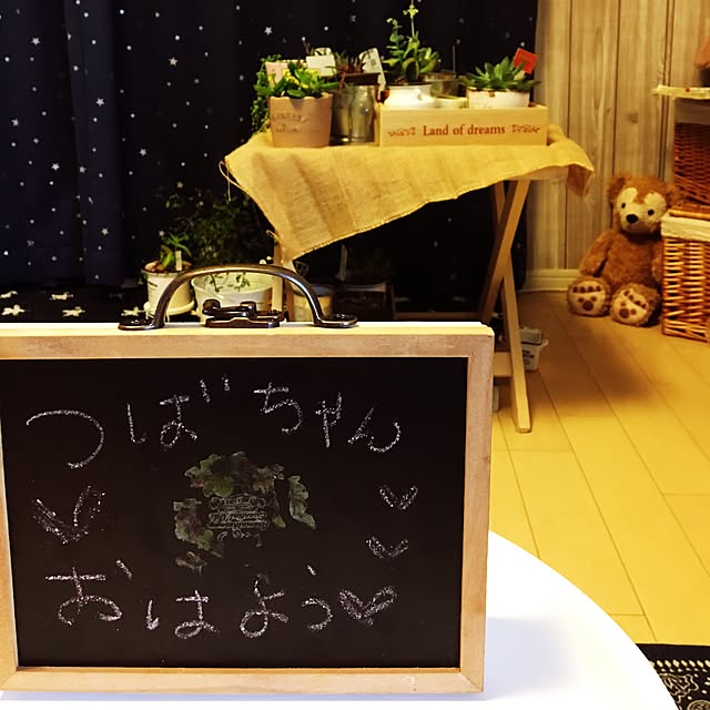 janjanさんの実例写真