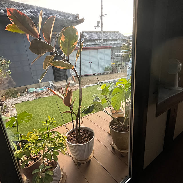 yukaringさんの部屋